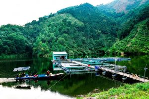 Mô hình mới