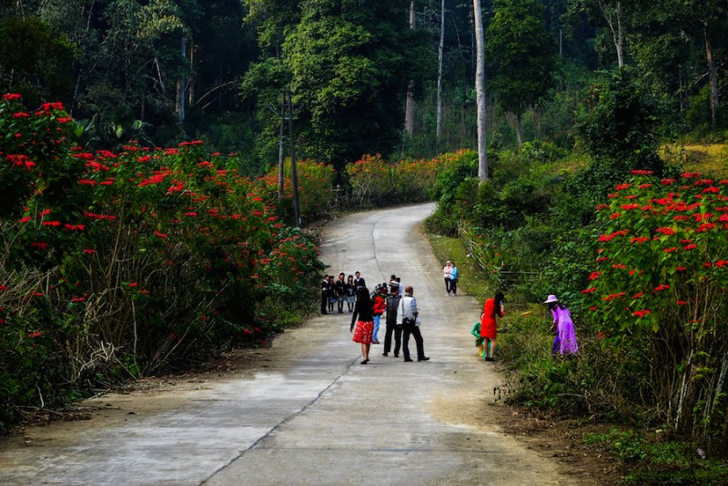 Ngay từ sáng sớm, đường vào Vườn Quốc gia Xuân Sơn đã có hàng đoàn người đến thăm quan, thưởng ngoạn phong cảnh thanh bình, nên thơ.