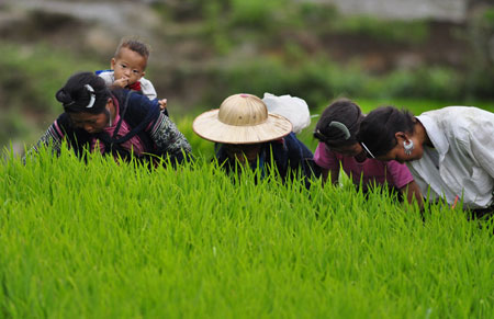 tap quan doi cong Hmong 1