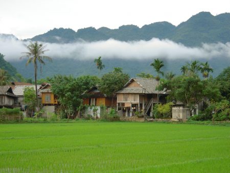 Vẻ đẹp của làng du lịch cộng đồng tại Mai Châu Hòa Bình ( ảnh sưu tầm)