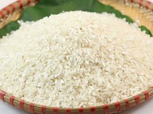 gạo séng cù