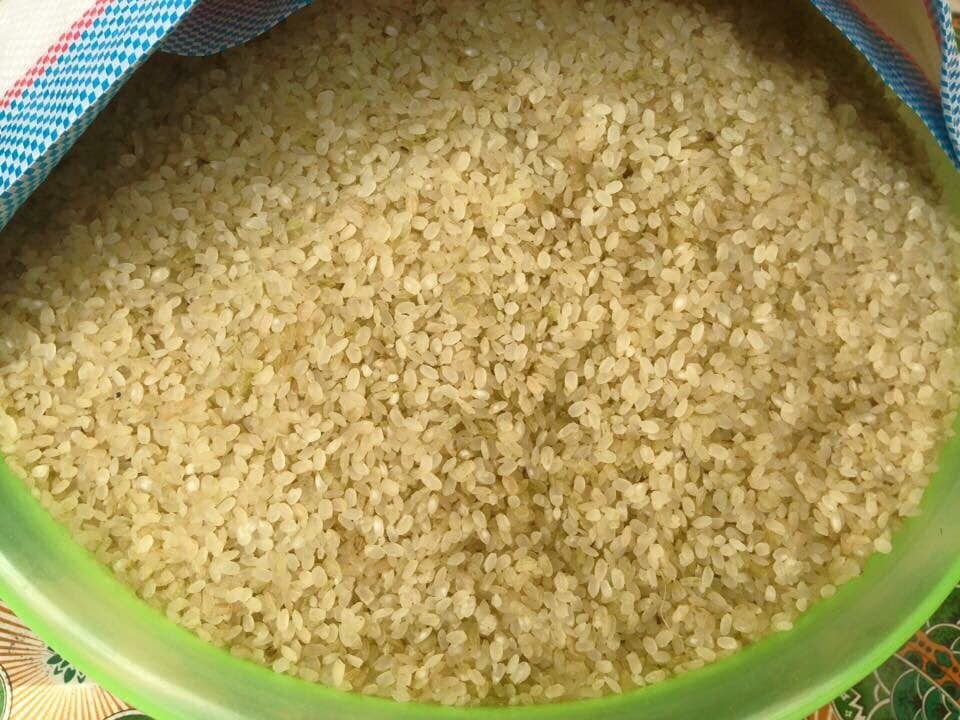 Cách làm cốm gạo rang