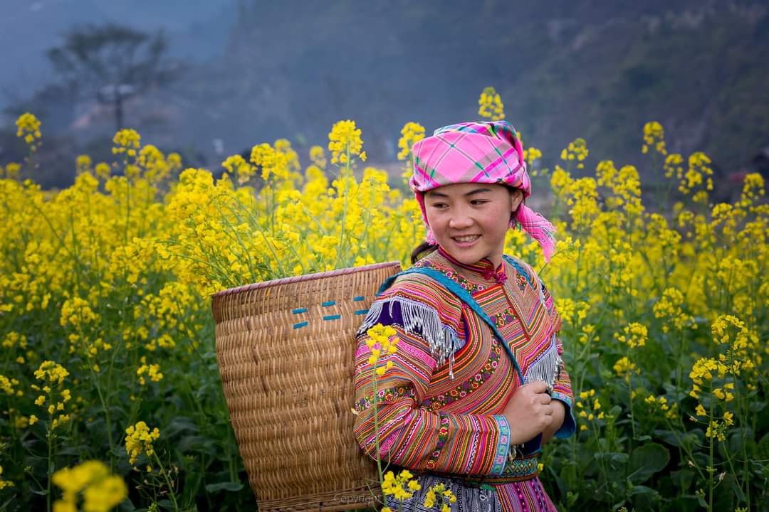 cung duong mua xuan lao cai