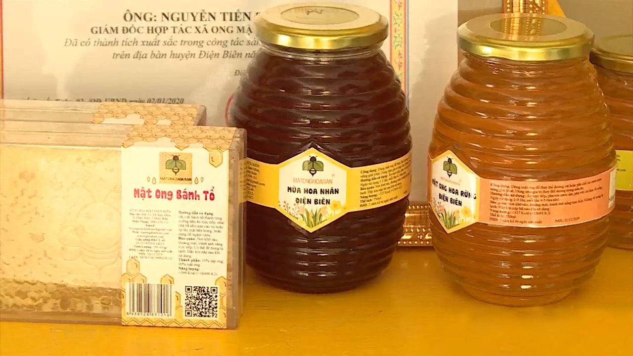 San pham mat ong cua HTX Ong mat Dien Bien
