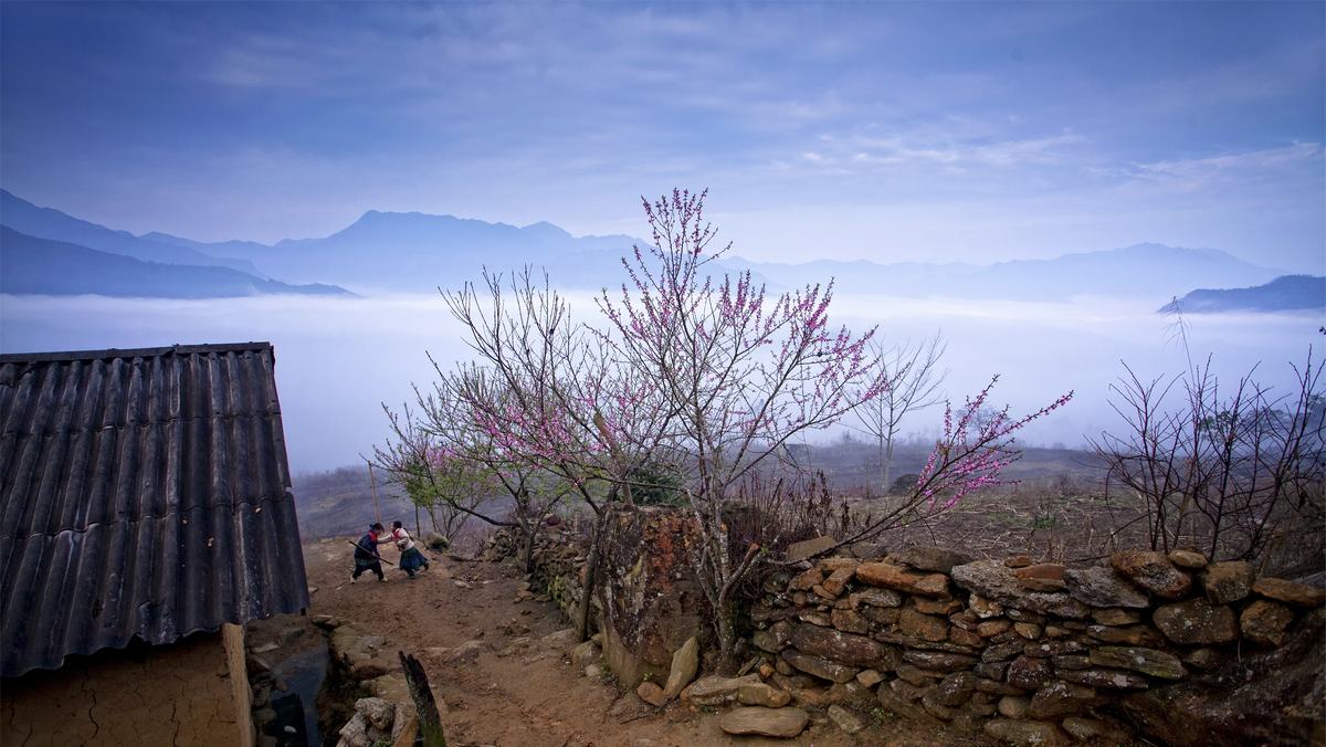 mua xuan hoa dao no ruc o khap muon noi 9386