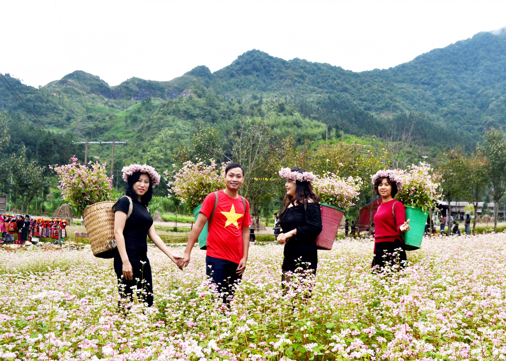Một số diện tích hoa Tam giác mạch trồng trà sớm tại huyện Đồng Văn đã nở hoa, thu hút nhu cầu tham quan, trải nghiệm của du khách.