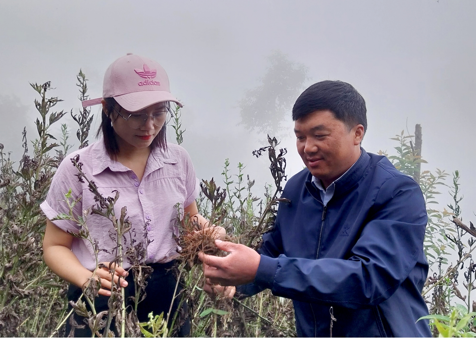 Lãnh đạo xã Cao Mã Pờ giới thiệu với phóng viên cây Ấu tẩu, một trong những cây trồng giảm nghèo của địa phương.