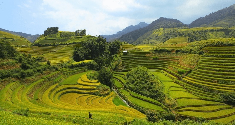 Ruong bac thang Sang Ma Sao voi nhieu dia hinh khac biet