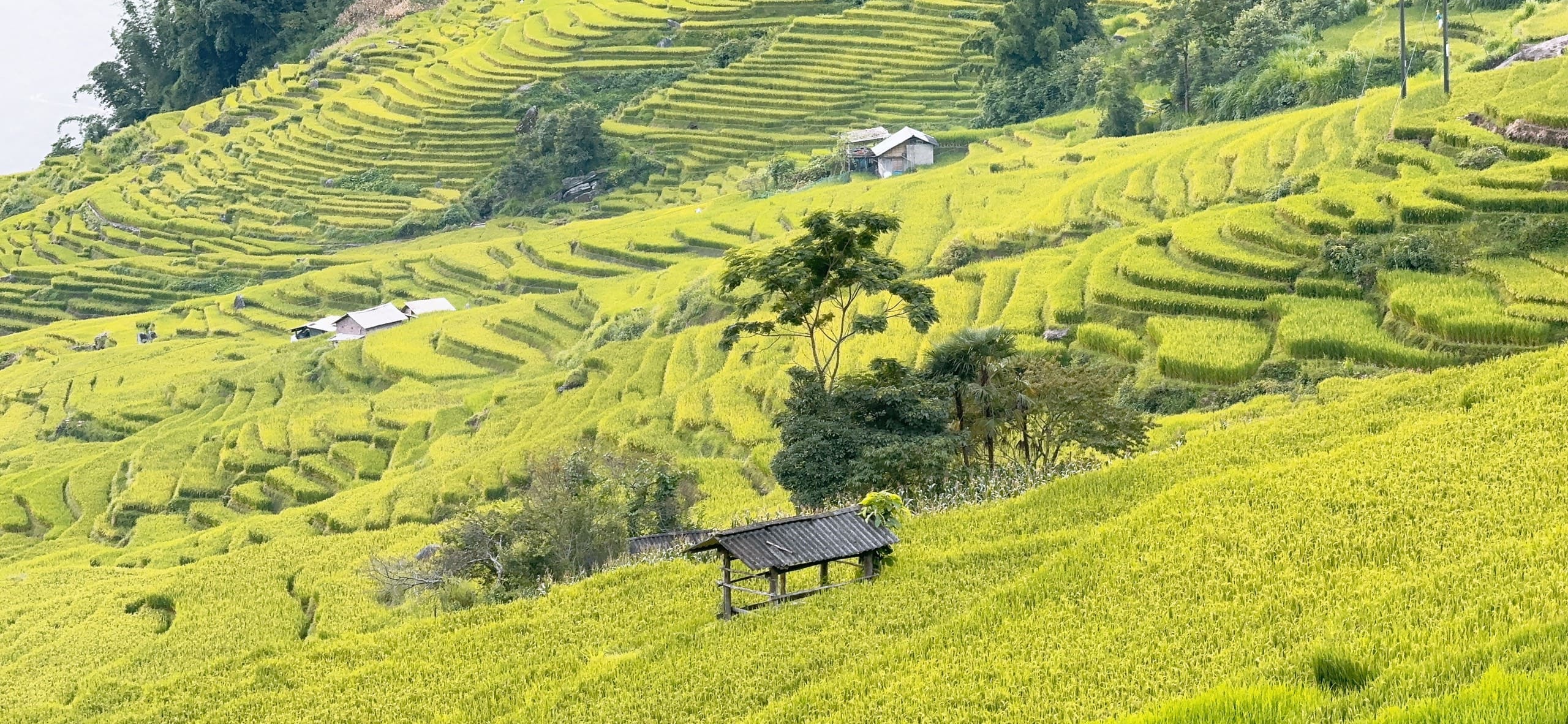 ruong bac thang 1