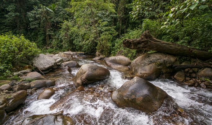 3 PUSILUNG sua