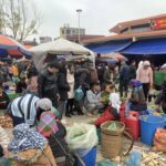 Cho Bac Ha