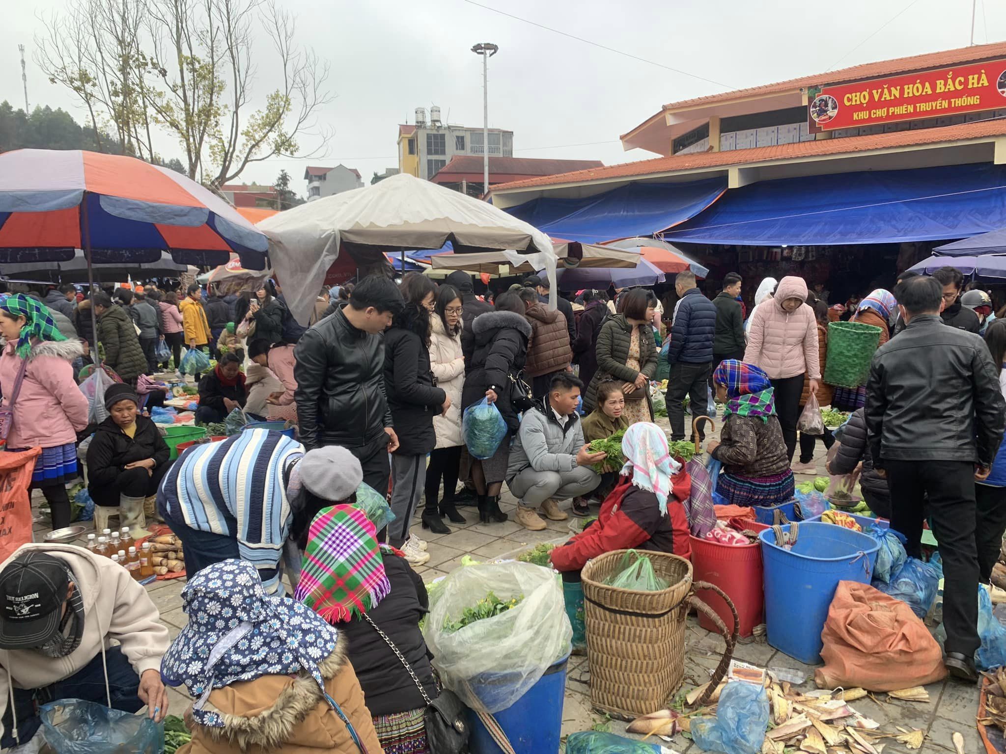 Cho Bac Ha