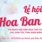 hoa ban