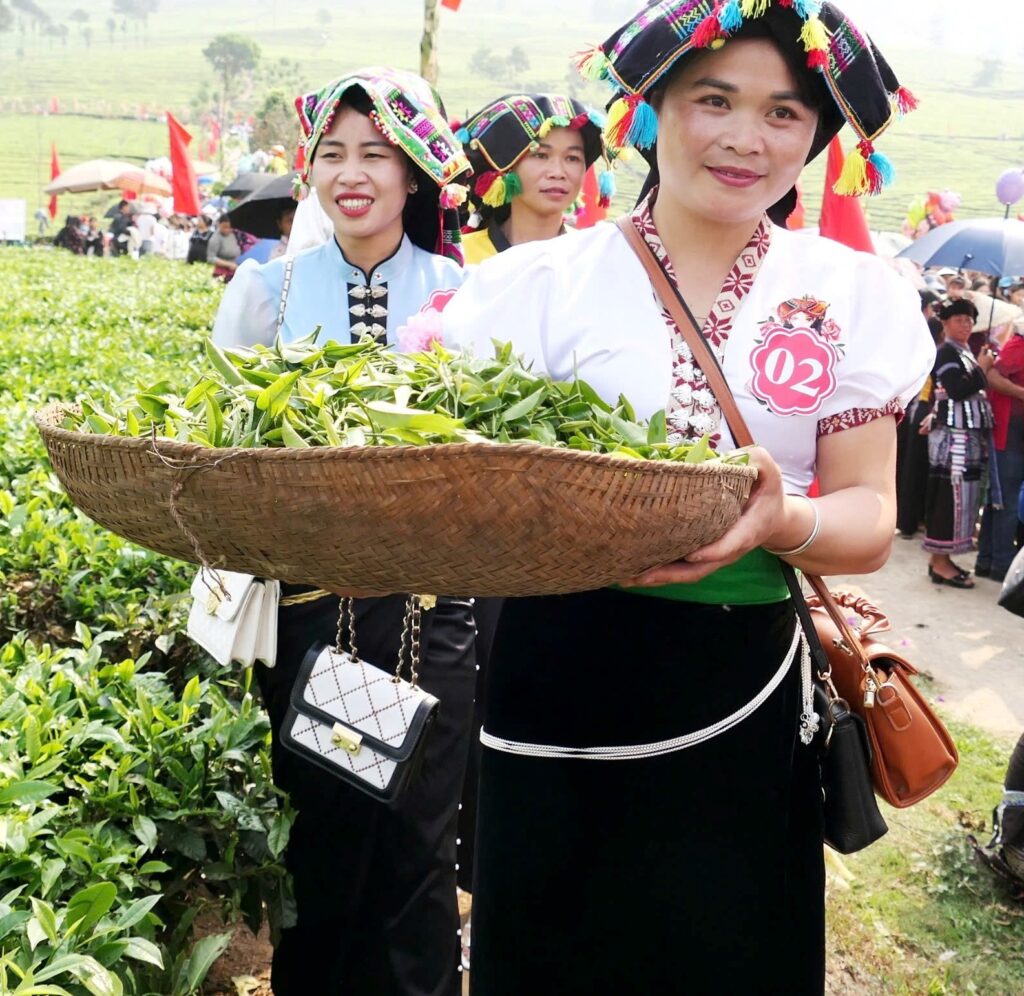 LK VUNG 4 sua