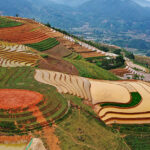 phong du thuong1 1
