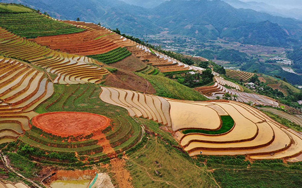 phong du thuong1 1