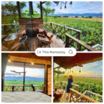 A Thía Homestay