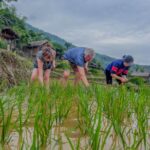 du lich nong nghiep lao cai 3 578314849