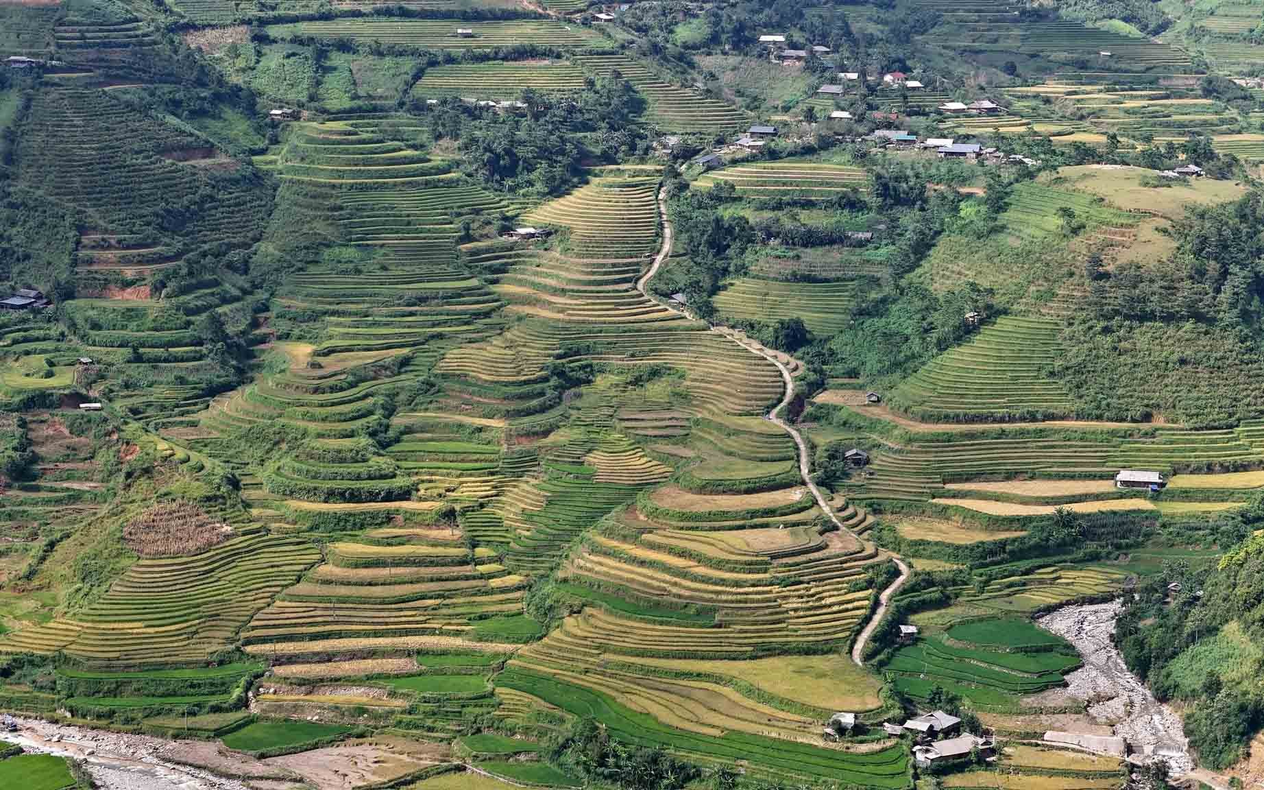 khau pha 7