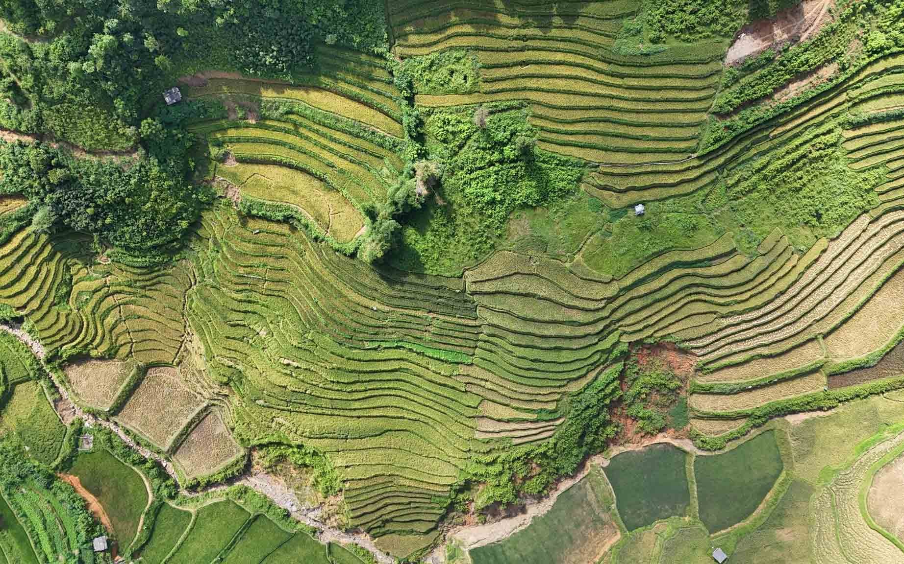 khau pha 8