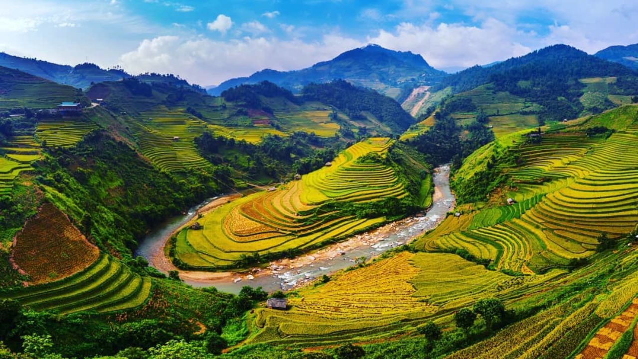 thung lung muong hoa dao choi vuon dia dang tuyet sac 03 1621231411