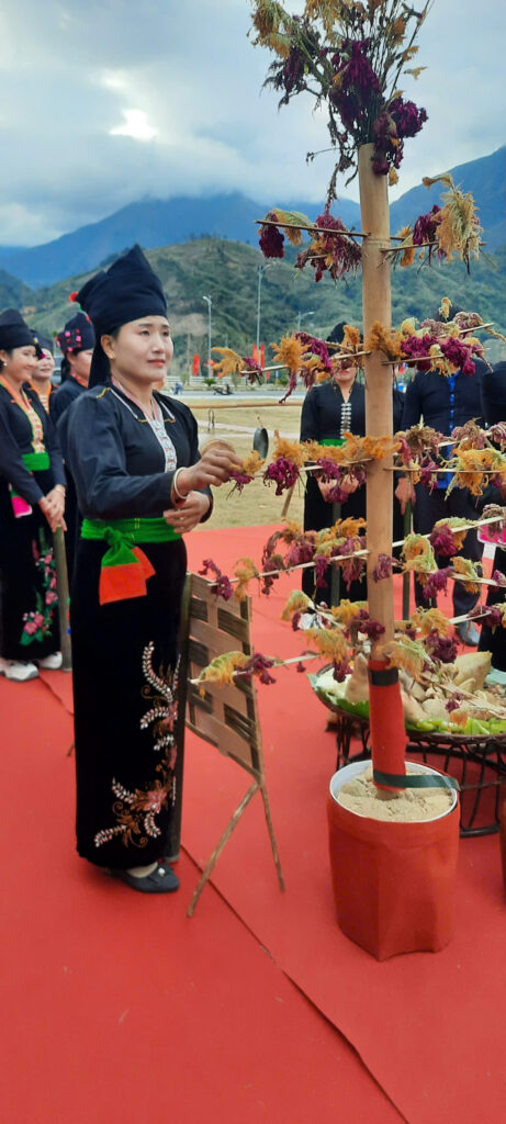 Anh 3 Cay hoa mao ga do dan ban trang tri dang cung to tien