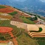 Ruong Bac Thang 1
