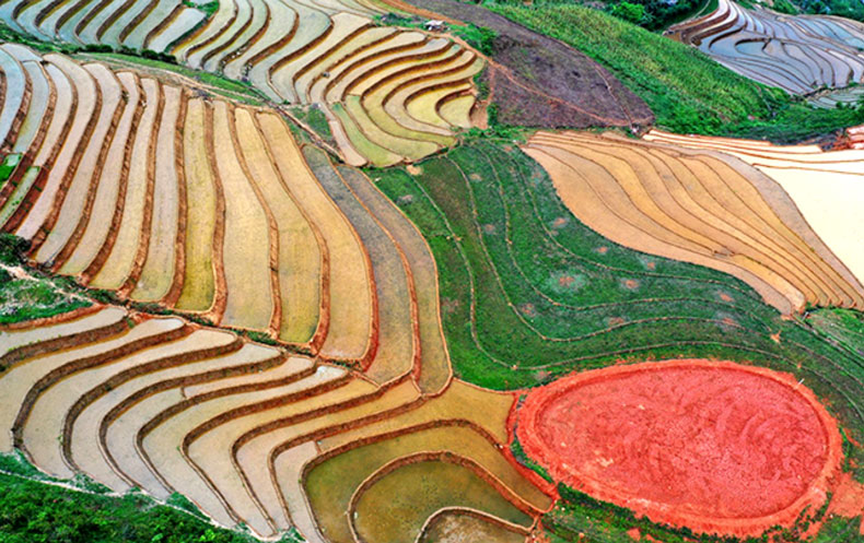 Ruong Bac Thang 49