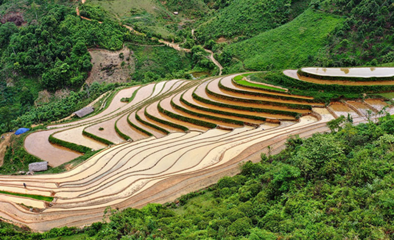 Ruong Bac Thang 5