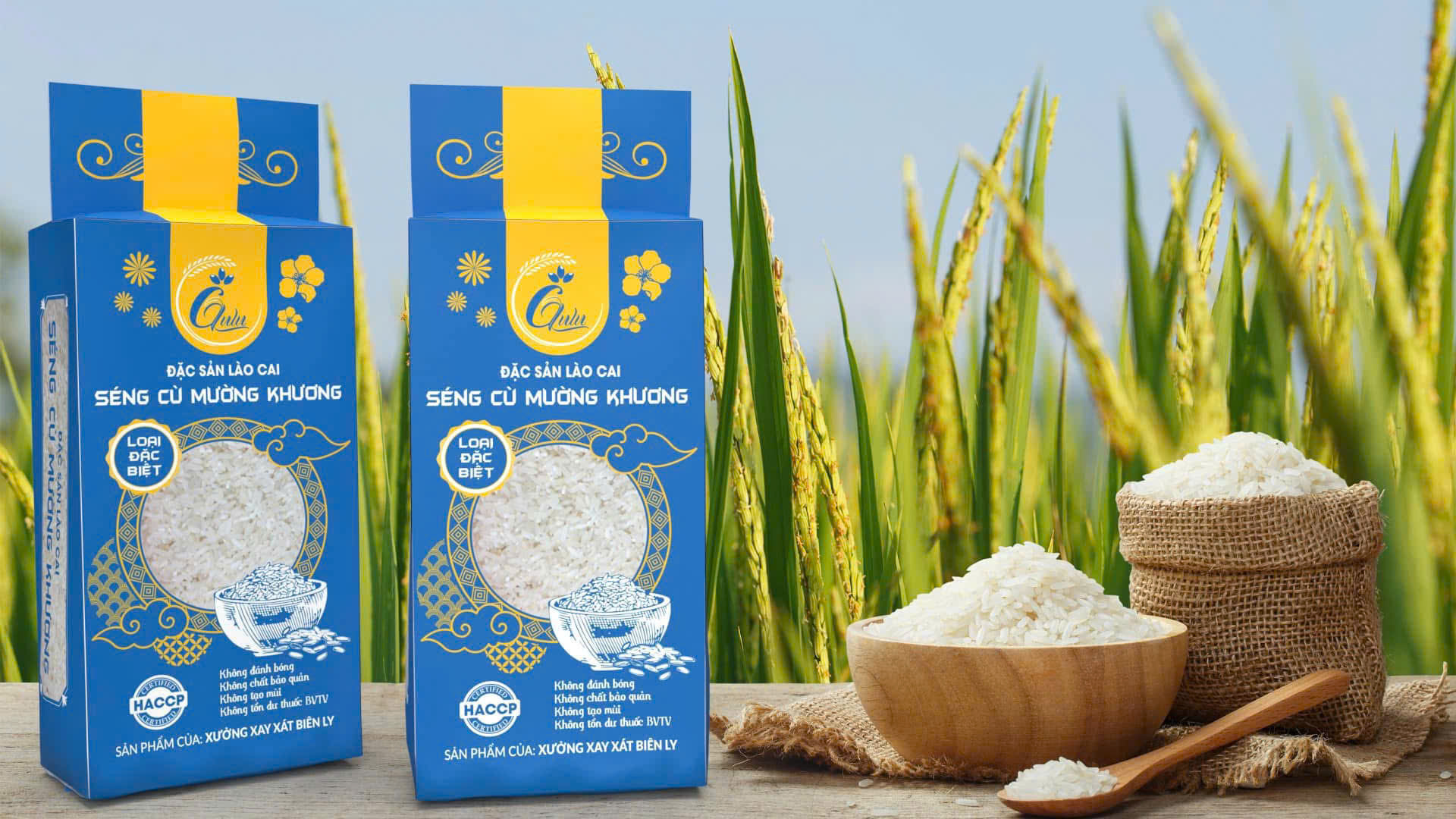 156e64ac6d12e14cb803