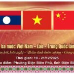 lễ hội ném còn