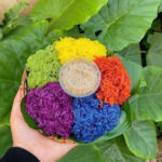 6dd20d1f04a188ffd1b0