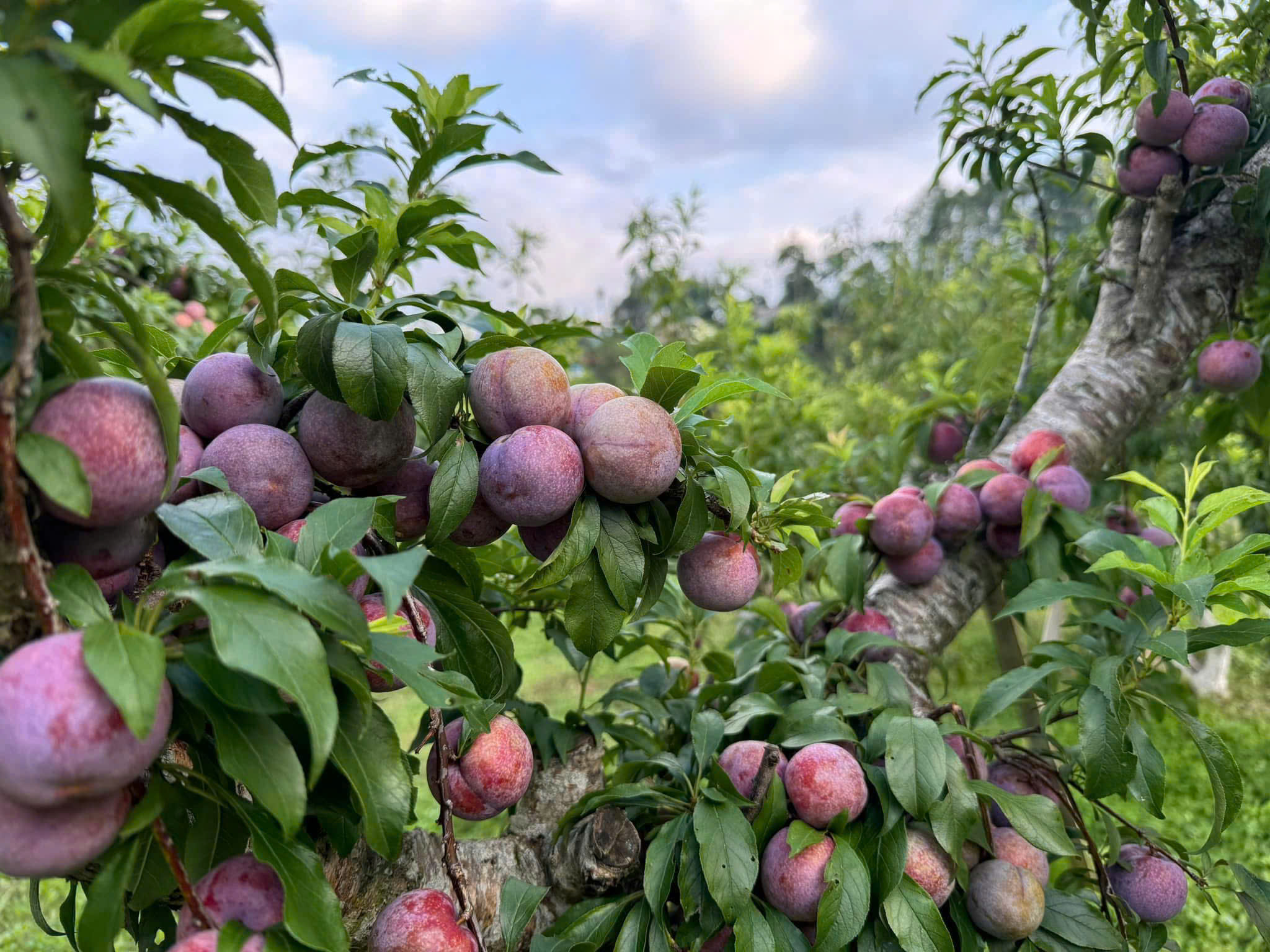 751f1cec1552990cc043