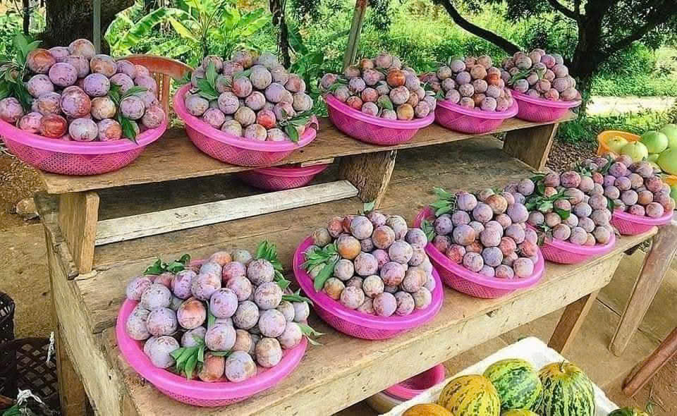 z7307211685133 c611cf1aba0d26acb85fb3e844c23fd9