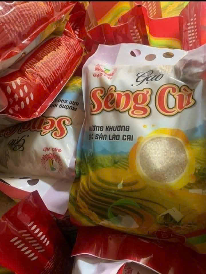 z7307211722929 95c7f7bf0da5aa846b88657a91d9e8b5