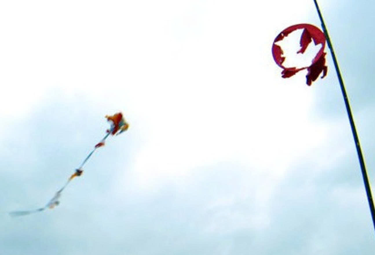 z7310814490668 56508611ad56f9da60391e5db36a697f