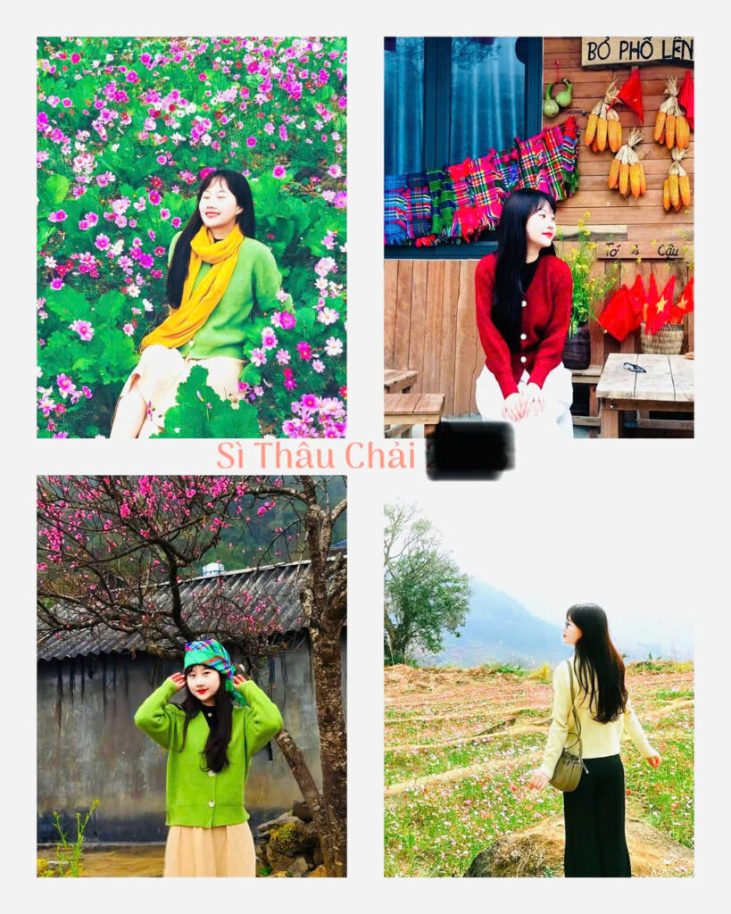 DU LỊCH LAI CHÂU ĐÓN TRÊN 85 NGHÌN LƯỢT KHÁCH KỲ NGHỈ TẾT DƯƠNG LỊCH 2026 12 duong 3