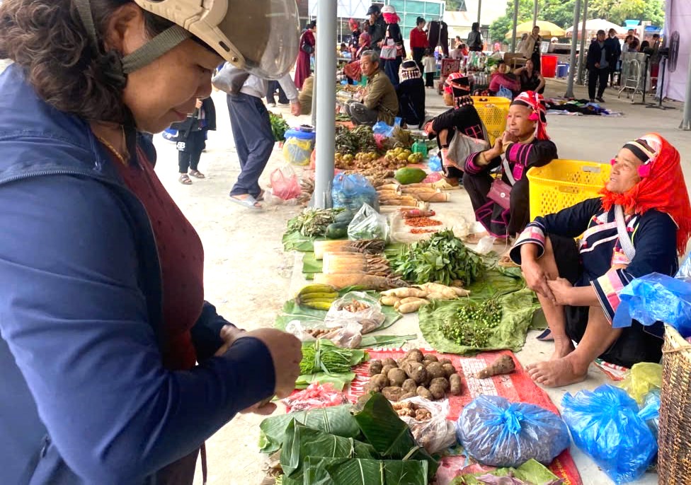 sac mau cho phien chinh