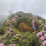 z7652693279836 da1a75efc6266c12d260fbbc437fa09c