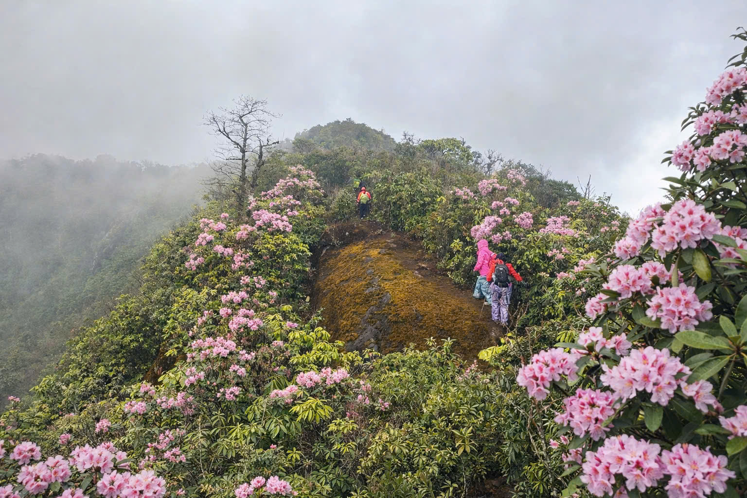 z7652693279836 da1a75efc6266c12d260fbbc437fa09c