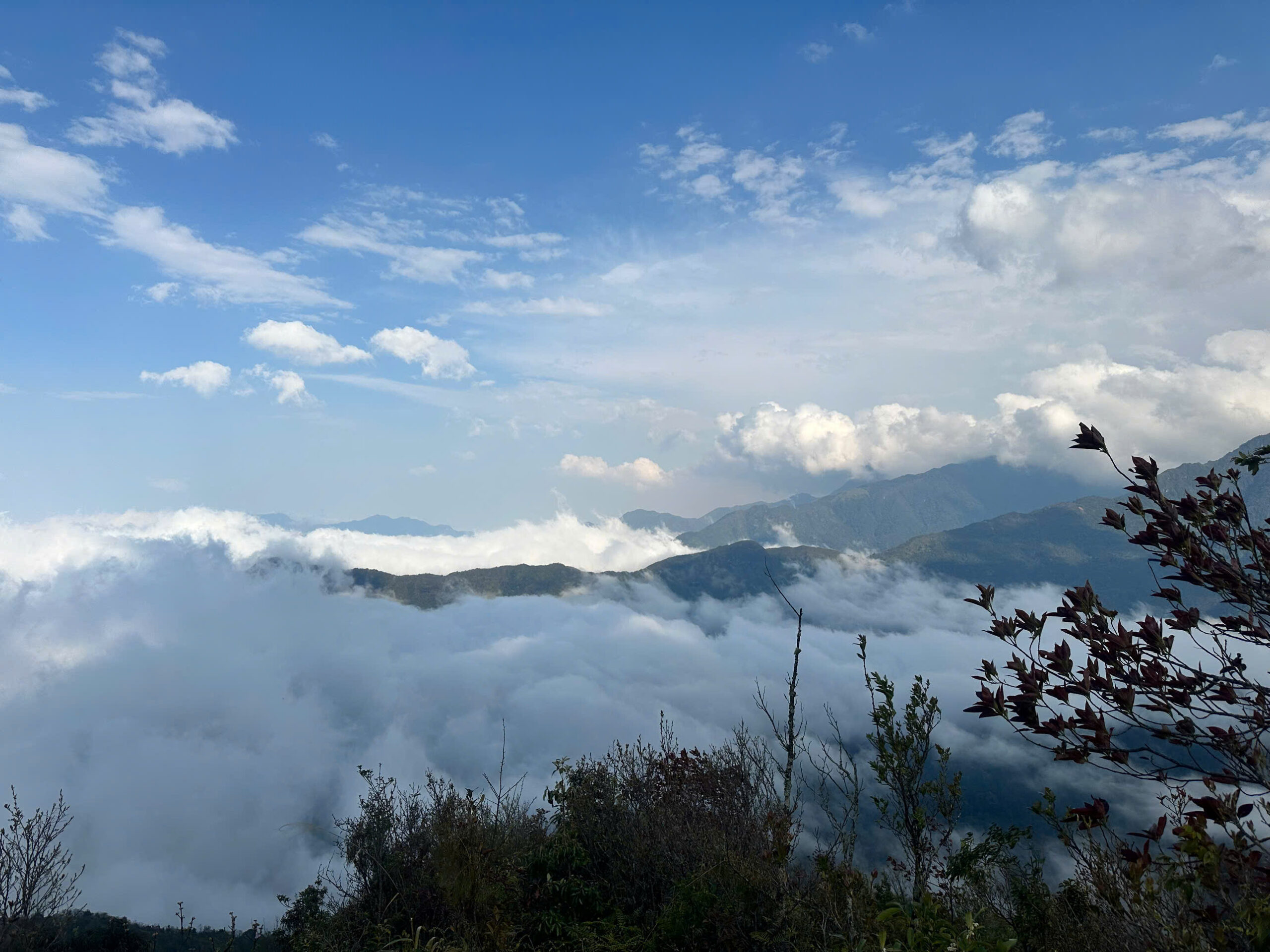 z7652693566259 dfc8018a922bdb6ce7038ecf77a1f0b3 1 scaled