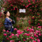 659132799 1358908862936472 1876710180944969530 n