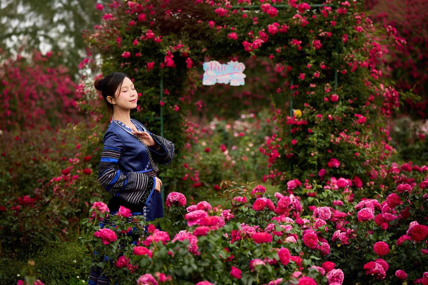 659132799 1358908862936472 1876710180944969530 n