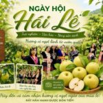 le tan phong