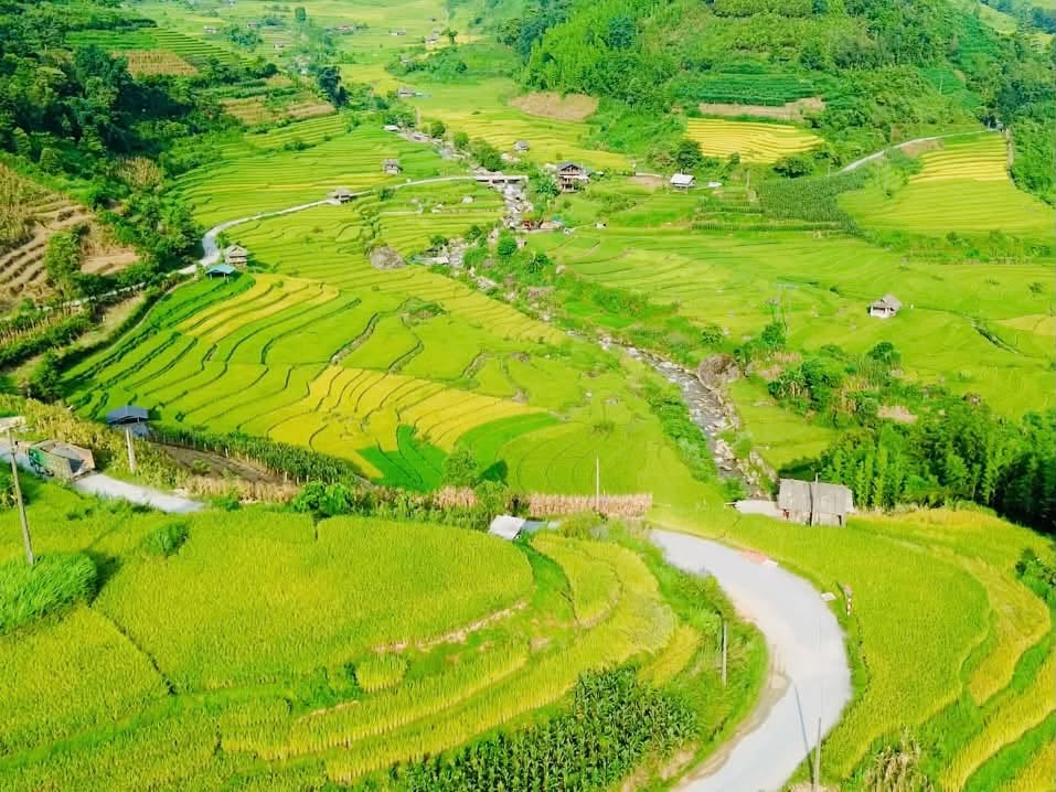 Ruộng bậc thang Sa Pa vào mùa đẹp nhất năm 3 756044032 122120313393283302 7413502671187108881 n
