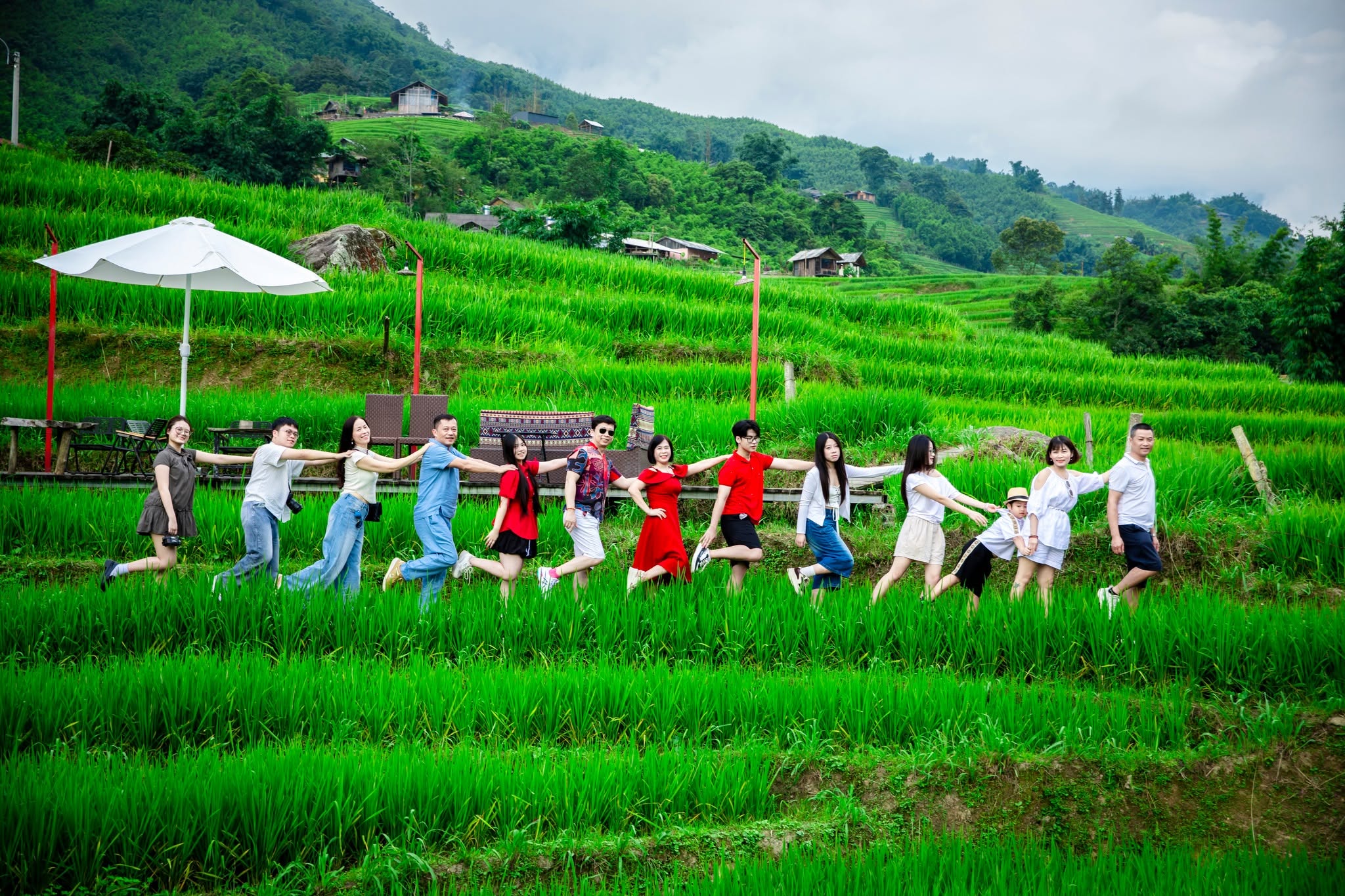 Ruộng bậc thang Sa Pa vào mùa đẹp nhất năm 4 756139186 122189605388759136 4899083798789116055 n
