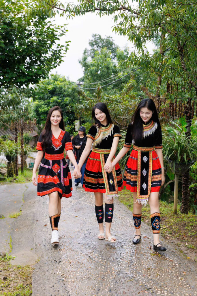 hoa hau 2