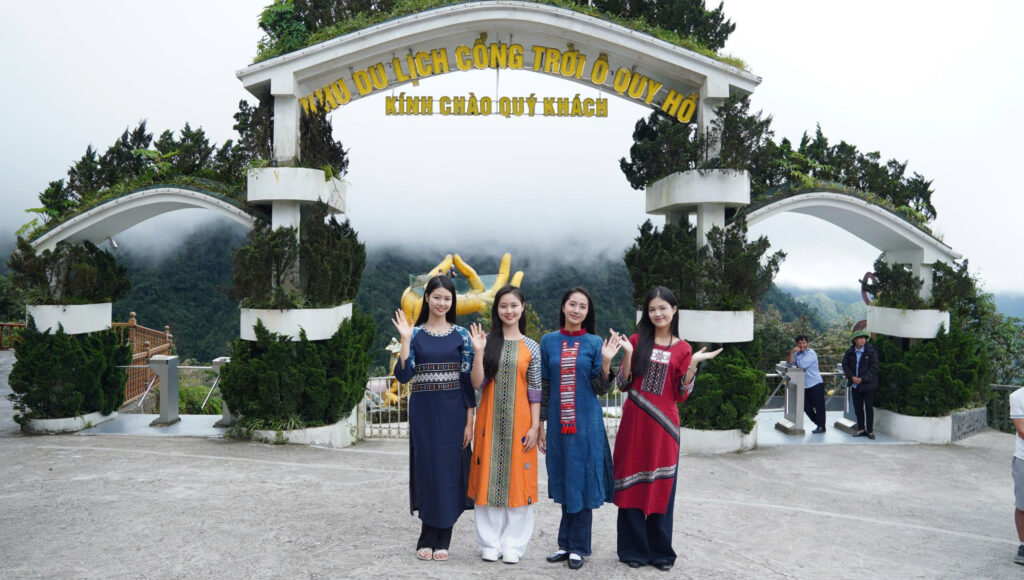 hoa hau 5