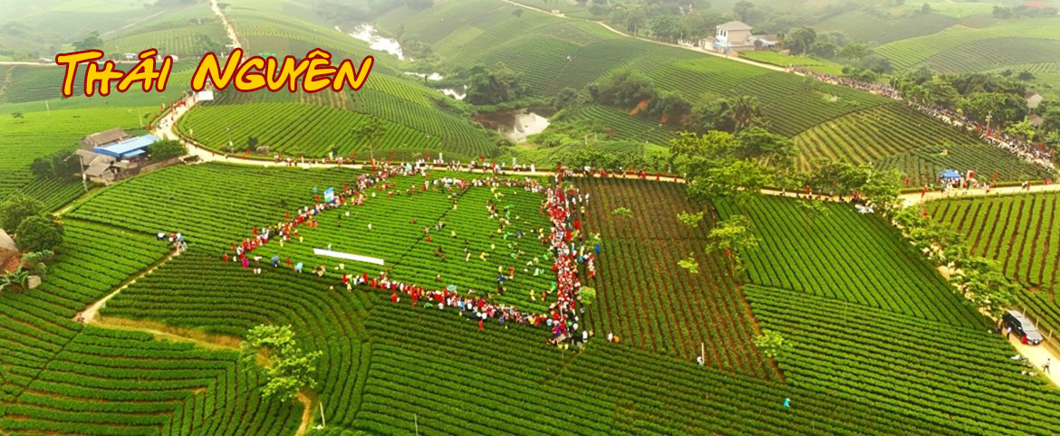 https://dulichtaybac.vn/wp-content/uploads/2026/08/Thai-Nguyen-Banner.jpg