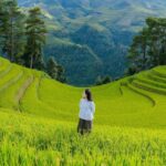 Mu Cang Chai